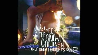 Jared Mees And The Grown Children - Shake (Original/HQ)