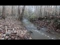 AMBIENCE ASMR AFTER THE STORM AN ORCHESTRA OF WATER WATER INSTRUMENTAL MUSIC Lynn Rasmussen