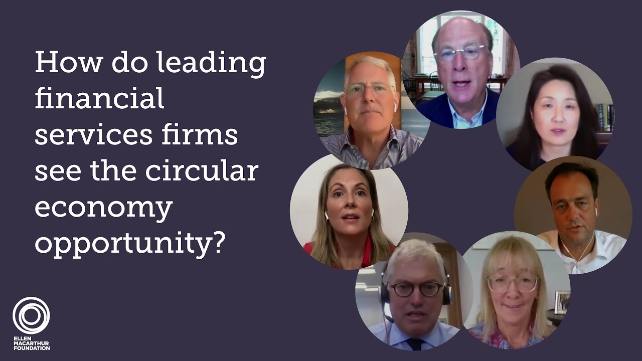 How do BlackRock and Other Leading Financial Services Firms See the Circular Economy Opportunity?