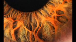 Luke Vibert - Halloween (Tom Demac Remix)