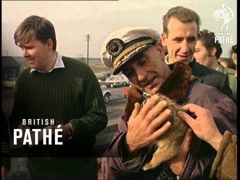 Out Takes / Cuts From Cp 521 - Reel 2 Of 2 (1964)