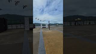 Carnival Splendor docked in Cairns, Australia 🇦🇺 #carnivalsplendor #carnivalcruise #cairnsaustralia