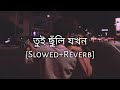 Tui Chunli Jakhan তুই ছুঁলি যখন Slowed And Reverb Arijit Singh Shreya Ghoshal 