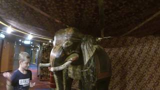 HAL Oosterdam Ship Tour