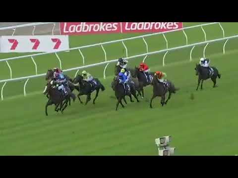 In Flight takes flight. ✈️ Becoming Flying Artie’s 10th individual stakes winner. 🚀 May 17, 2025