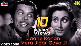 Jaane Kahan Mera Jigar Gaya Ji [4K] Song : Johnny Walker, Mohd Rafi | Mr and Mrs 55 | Evergreen Song