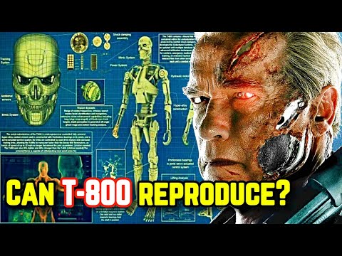Terminator Anatomy T-800 - Can Terminators Reproduce With Humans? Do They Have "Those" Human Bits?