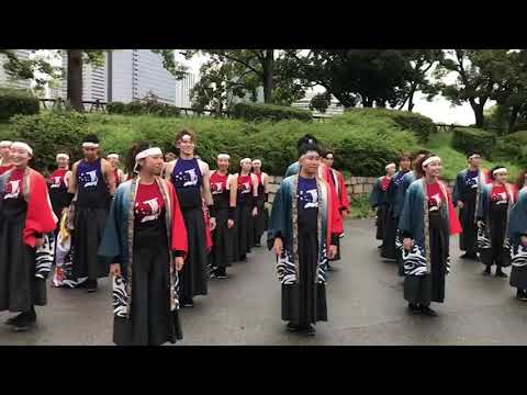 商学科 小樽商科大学"翔楽舞" 出帆唄 こいや祭り 極楽ステージ 地域会場賞受賞演舞 2018/09/08