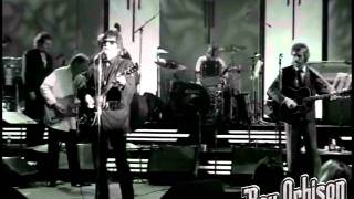 Roy Orbison - &quot;(All I Can Do Is) Dream You&quot; from Black and White Night