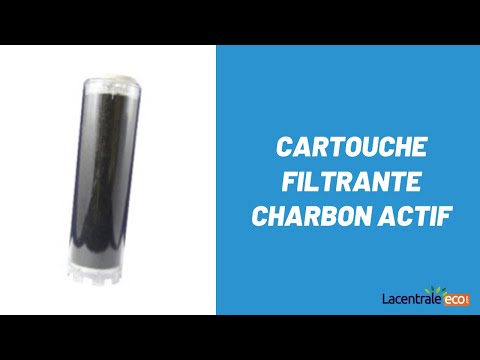 Présentation cartouche filtrante charbon actif