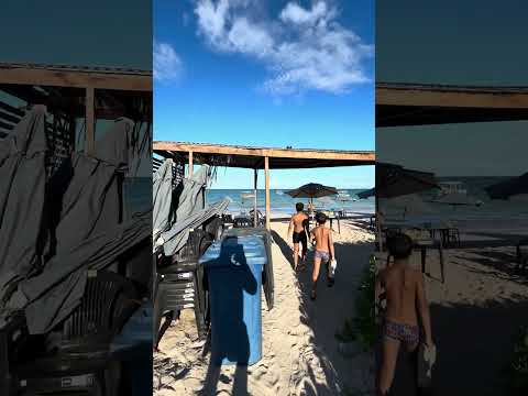 Essa será sua vista #vinibuggymaragogi #praiasdonordeste  #buggymaragogi #curtindoapraia #alagoas