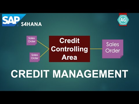 Automatic Determination of Credit Controlling Area in the Sales Process in SAP S4HANA