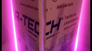 Monster Plant Grows in Styrofoam Cage