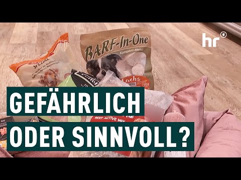 Hundefutter-Trends: Von BARF bis Vegan | Die Ratgeber