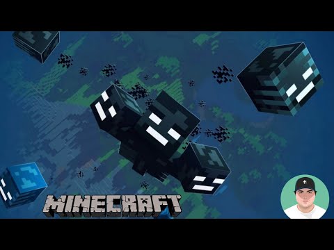 EPIC Wither Boss Battle in Minecraft!!