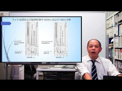 薬学科 模擬講義｜和田先生（薬学科）3