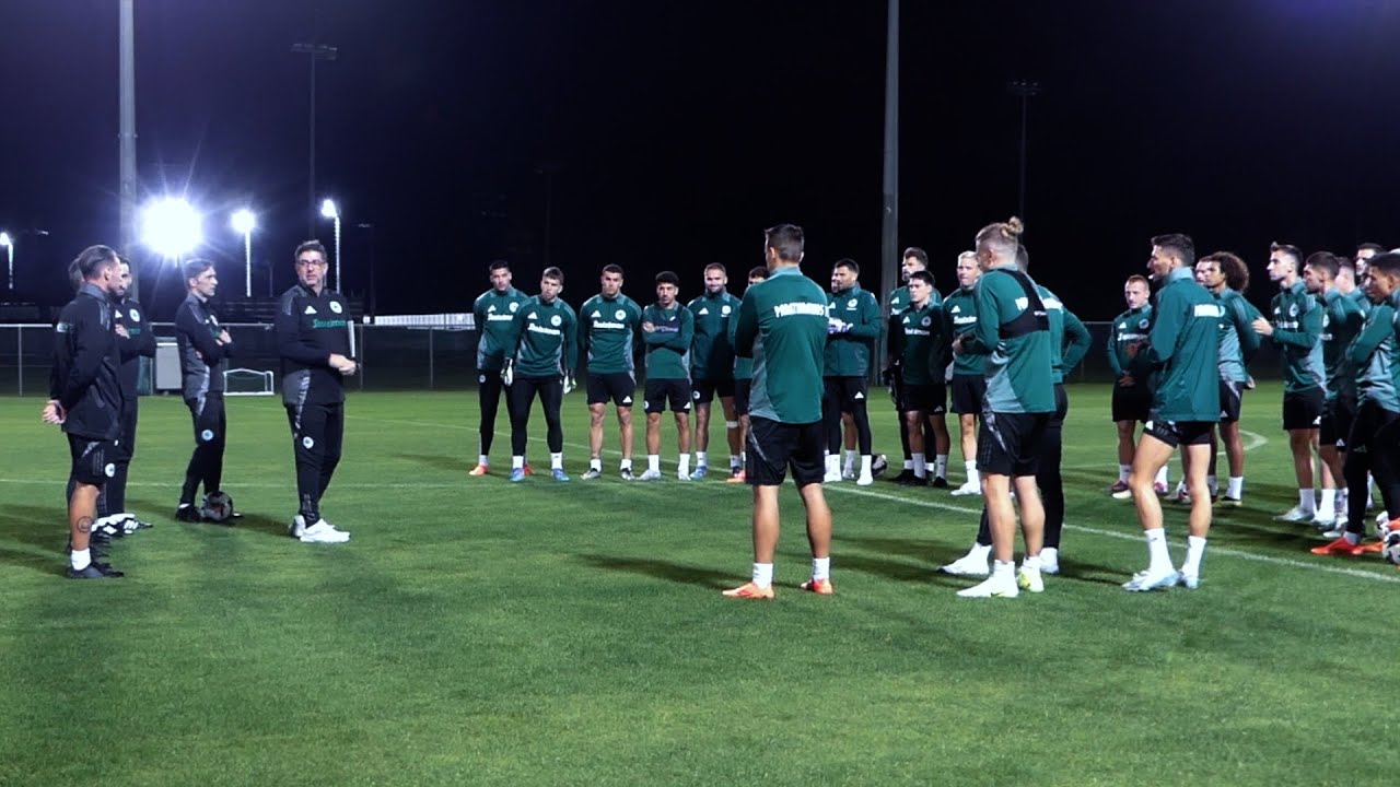 The first training session of Rui Vitoria | pao.gr