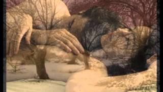 Yo Puedo Hacer   ( Ricardo Montaner )