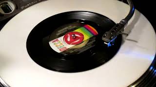 The Peppermint Rainbow - "Walking In Different Circles" 1968 MONO