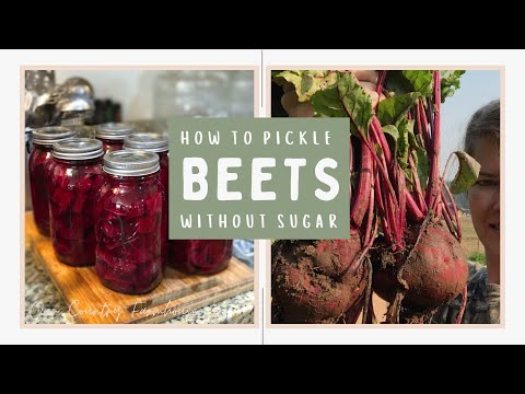 How To Pickle Beets Without Sugar