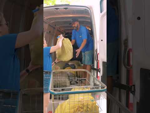 Você conhece o Pontão das Fábricas? #shorts #atacado #promocao #lancamento #vendas