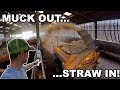Big Clean Out Muck Out Straw In