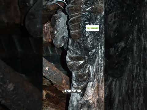 ☢️УНИКАЛЬНЫЕ ФОТО 📷 РЕАКТОРА БЛОКА ЧАЭС | ПТУШКИН🎬