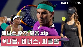 비너스 윌리엄스 복귀, 라파엘 나달 Top10 포함 900주 달성, 美 피클볼 열풍   |   주간 테니스 모음.zip [EP.1]