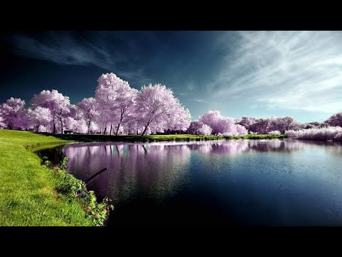 download lagu mp3 mp4 Clouds Above Chaos Dream On Relaxation Trip, download mp3 Clouds Above Chaos Dream On Relaxation Trip free download mp3, download mp3 Clouds Above Chaos Dream On Relaxation Trip