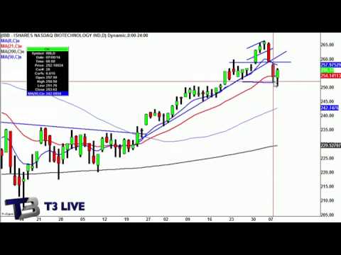Red Dog Illustrates Reversal in IBB, LNKD (Daily Recap)