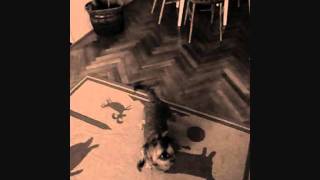 Video grace singin...