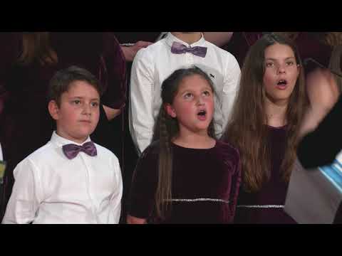 Dynamis 4k: Când privesc spre înălțimi, Cernica - iun.2021