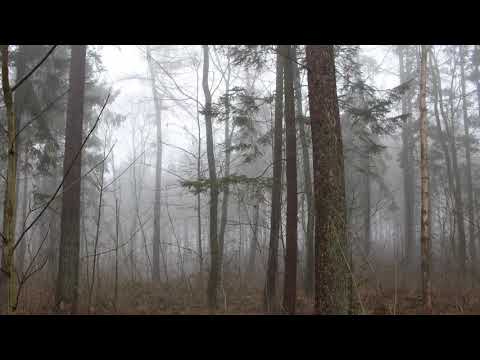 Krummavísur by: Sigurboði Grétarsson (English Subtitles)