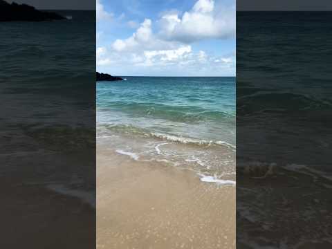 Beach lovers 🏝️ #ytshorts #fyp #beach #beachluife_naturelover #love #cornwall