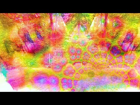 SALVIA Trip Simulation