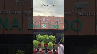 Download lagu #patna #zoo #shorts #shortsfeed #shortvideo #nature #travel #subscribe mp3 Download lagu #patna #zoo #shorts #shortsfeed #shortvideo #nature #travel #subscribe mp3