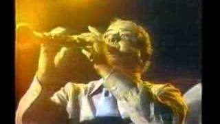 Preservation Hall Jazz Band Tell Me Your Dreams