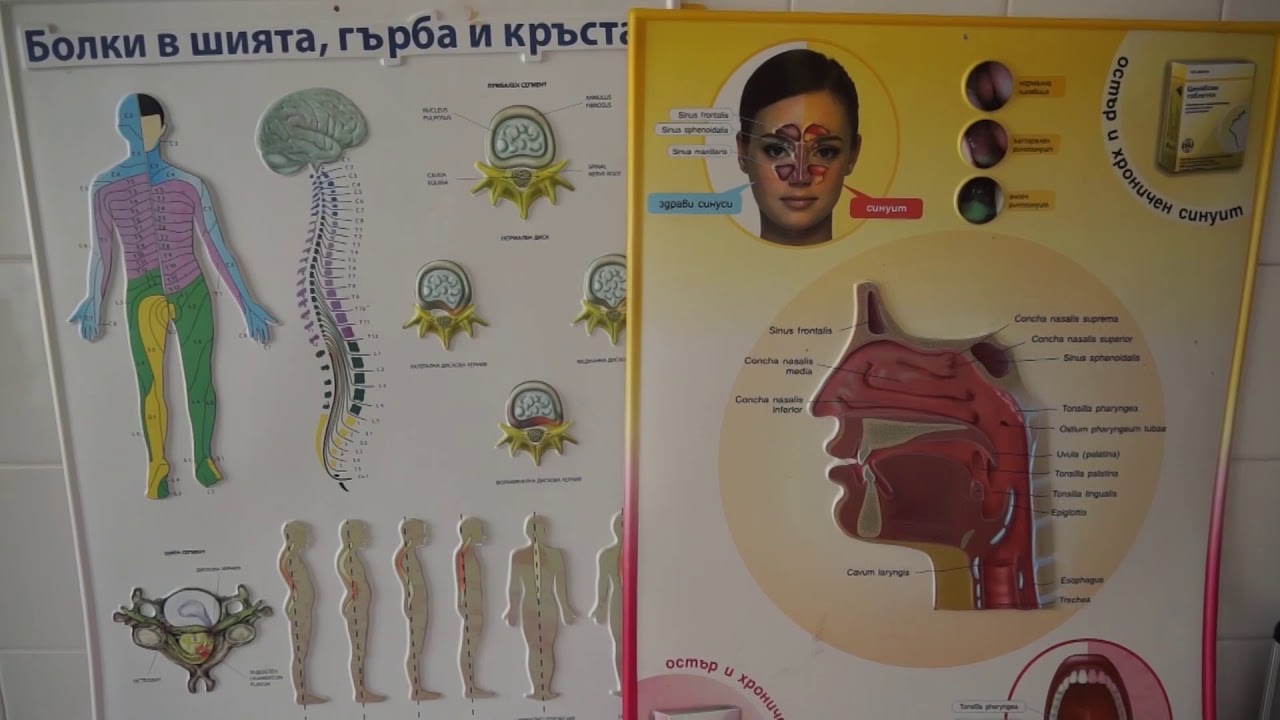 Д-р Снежана Бакърова: Взела съм решение, ще се ваксинирам срещу Ковид-19, ваксината е лъч надежда