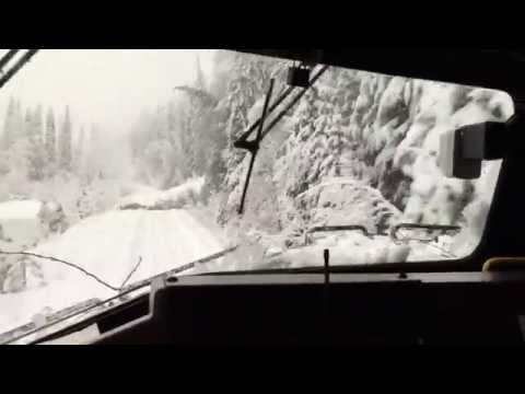 Train plows through trees after snow storm!