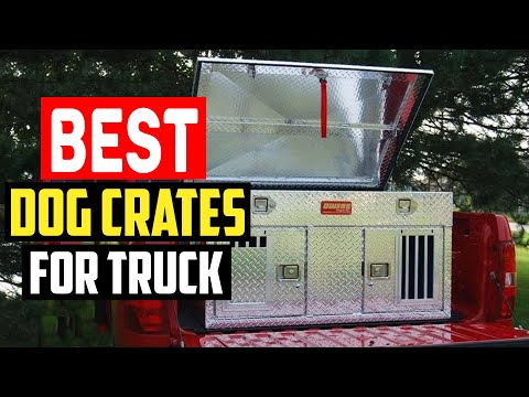 ✅Top 5 Best Dog Crates for Truck Beds in 2025