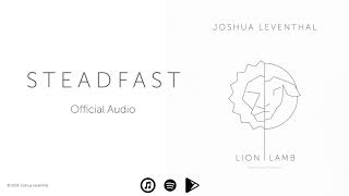 Joshua Leventhal - S T E A D F A S T [Official Audio]