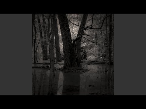 Something in the Water