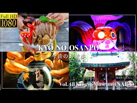 Disfruta de un paseo en Nara visitando el Museo Goldfish lleno de luz y arte y el único Santuario Manju de Japón 😃 #Museo Goldfish #Santuario Manju #Santuario Hayashi #Turismo en Nara #Vlog #Etrangenarad #Dulces