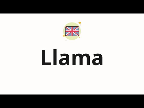 How to pronounce Llama