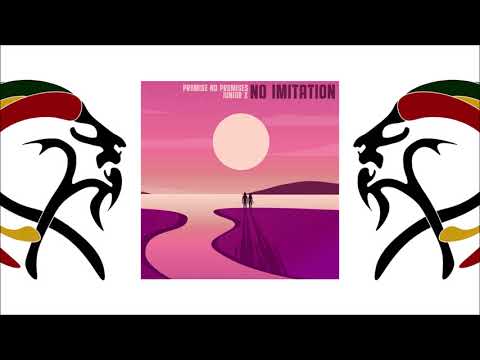 Promise No Promises & Junior X -   No Imitation (2020 By MacLes Music Factory)