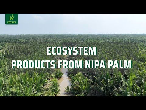 ECOSYSTEM - PRODUCTS FROM NIPA PALM