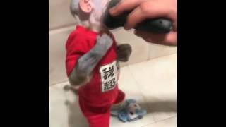 Ding Dang   Video Song  Munna Michael 2017  Tiger Shroff &amp; Nidhhi Agerwal  Javed   Mohsin