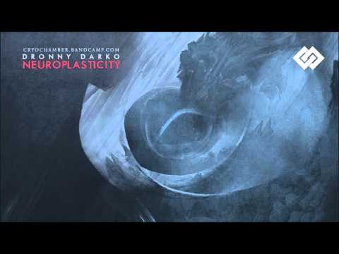 Dronny Darko - Mirror Neurons