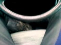 Me In Rubber Riding Boots And Latex Full Seat Jodhpurs
