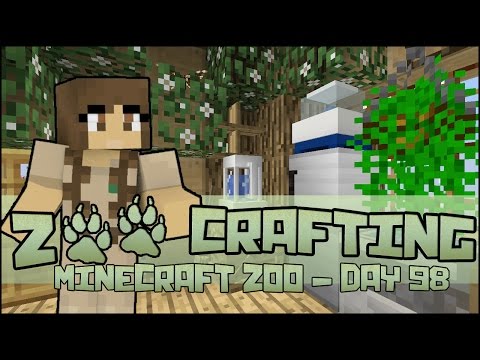 Healing Tea & Chocolate Kisses 🐘 Zoo Crafting: Season 2 - Episode #98